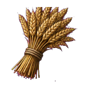 A sheaf of ripe wheat
